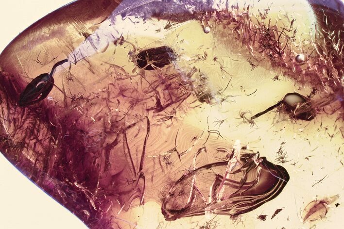 Three Detailed Fossil Flower Stamens In Baltic Amber #330718